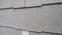 スレート屋根はセメントと繊維を圧縮して作られた屋根材で軽く施工がしやすくコストパフォーマンスに優れた屋根材ですが、厚みが薄いので割れやすく、苔などの汚れが付きやすく汚れたままにしておくと水はけが悪くなりそこから傷んで雨漏りの原因になる恐れがあるデメリットがあります。